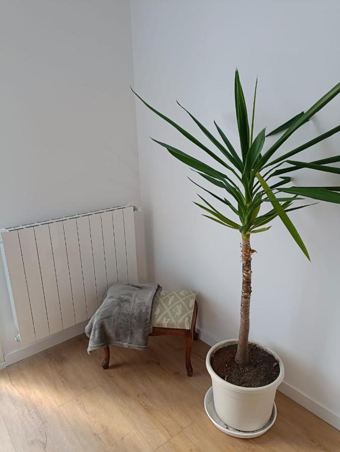 Appartement Ocean à Orio Extérieur photo